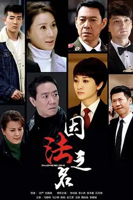 《因法之名》：正义的迷雾，亲情的抉择，一场关于真相与救赎的灵魂拷问！