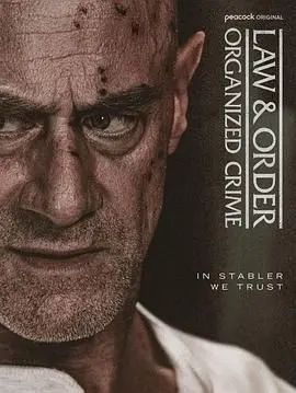 《法律与秩序：组织犯罪》第五季：罪恶升级，卧底潜伏，看Stabler如何与黑帮势力斗智斗勇！